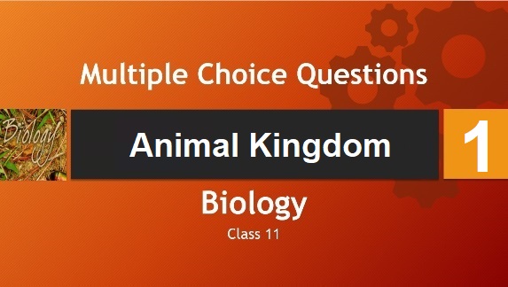 Class 11 Biology Animal Kingdom-1
