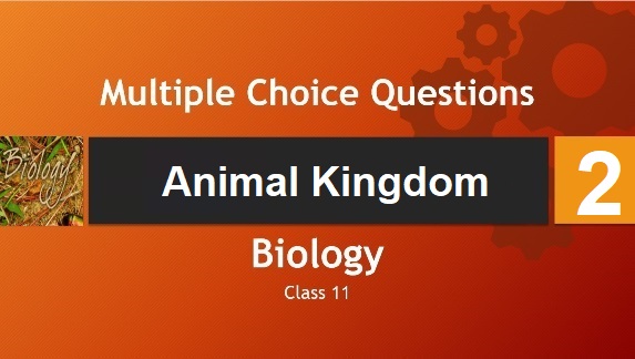 Class 11 Biology Animal Kingdom-2