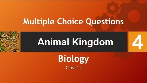 Class 11 Biology Animal Kingdom-4