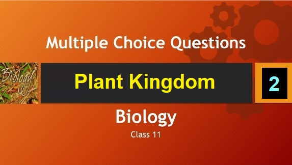 Class 11 Biology Plant Kingdom-2
