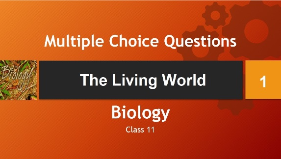 Class 11 Biology The Living World-1