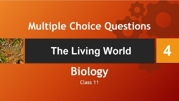 Class 11 Biology The Living World-4