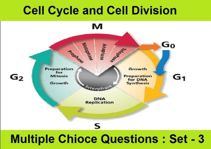MCQ Questions Class 11 Biology Cell Cycle and Cell Division-3
