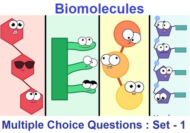 MCQ Questions Class 11 Biology Biomolecules with Answers - MCQsDuniya