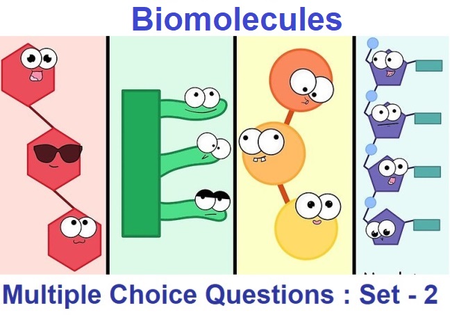 Class 11 Biology Biomolecules-2