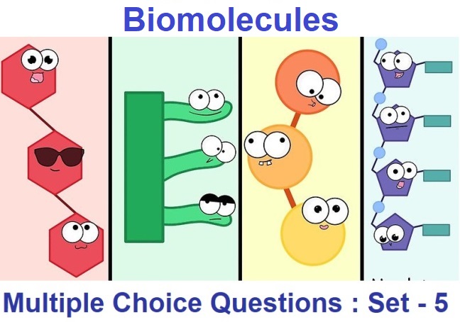 Class 11 Biology Biomolecules-5