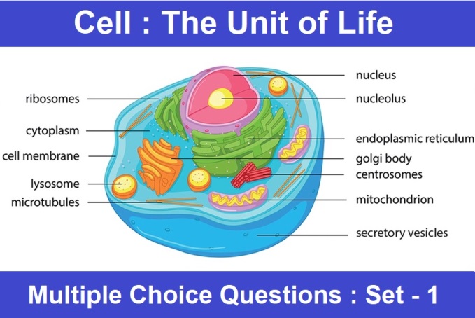 MCQ Questions Class 11 Biology Cell The Unit of Life-1