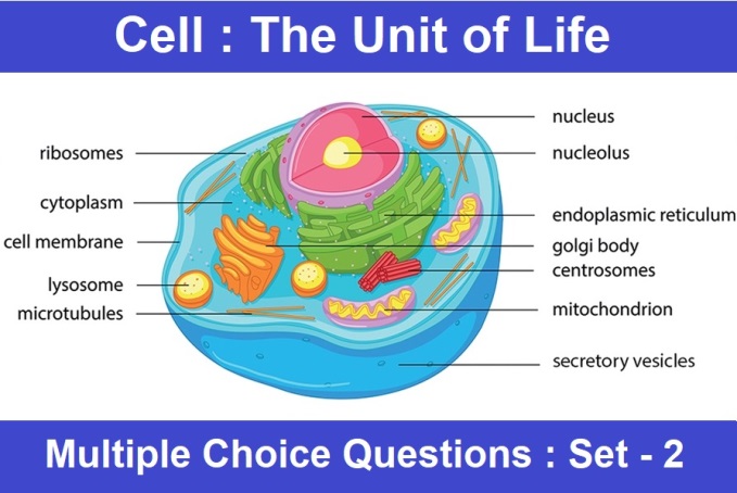 MCQ Questions Class 11 Biology Cell The Unit of Life-2
