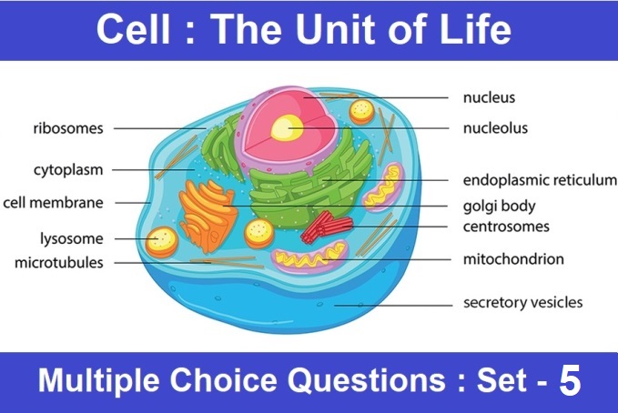 MCQ Questions Class 11 Biology Cell The Unit of Life-5