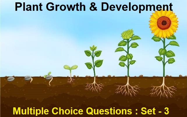 Biology Plant Growth and Development-3