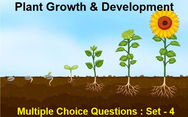 Biology Plant Growth and Development-4