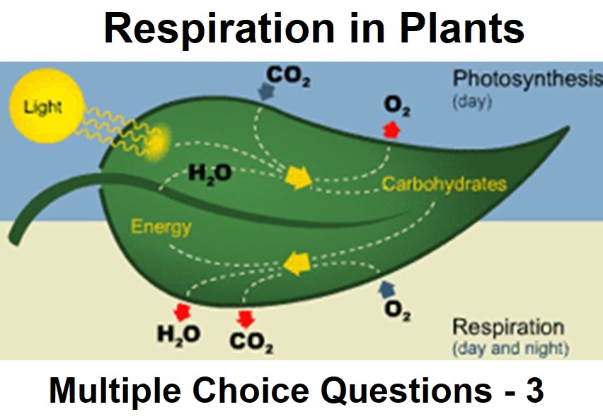 Biology Respiration in Plants-3