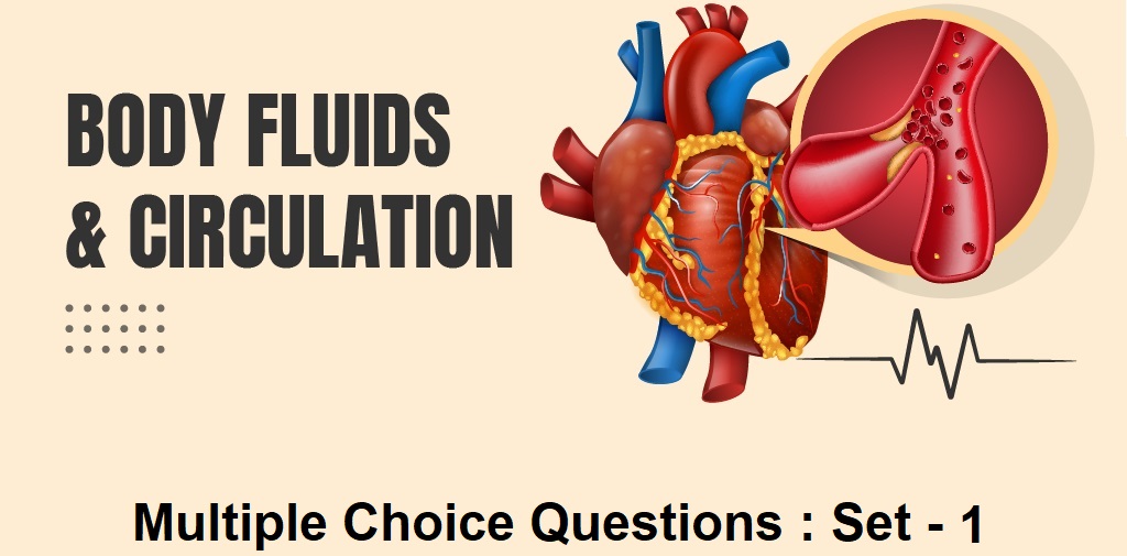 MCQ Questions Class 11 Biology Body Fluids and Circulation-1