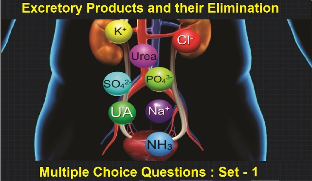 MCQ Questions Class 11 Biology Excretory Products and their Elimination with Answers-1
