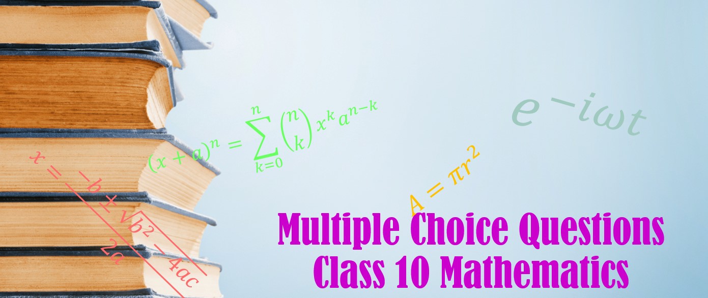 mcq class 10 Mathematics