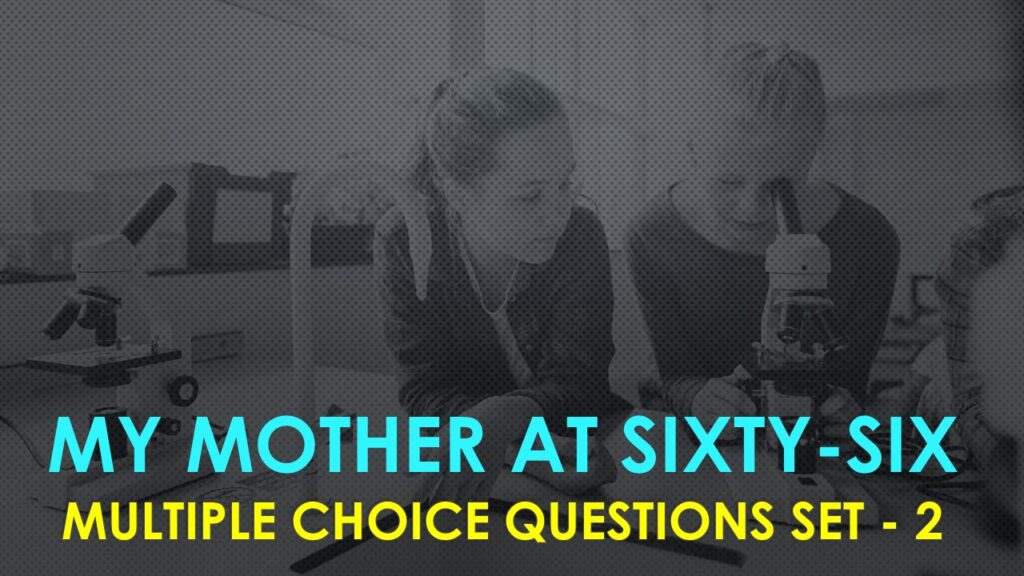 My Mother at Sixty Six-2