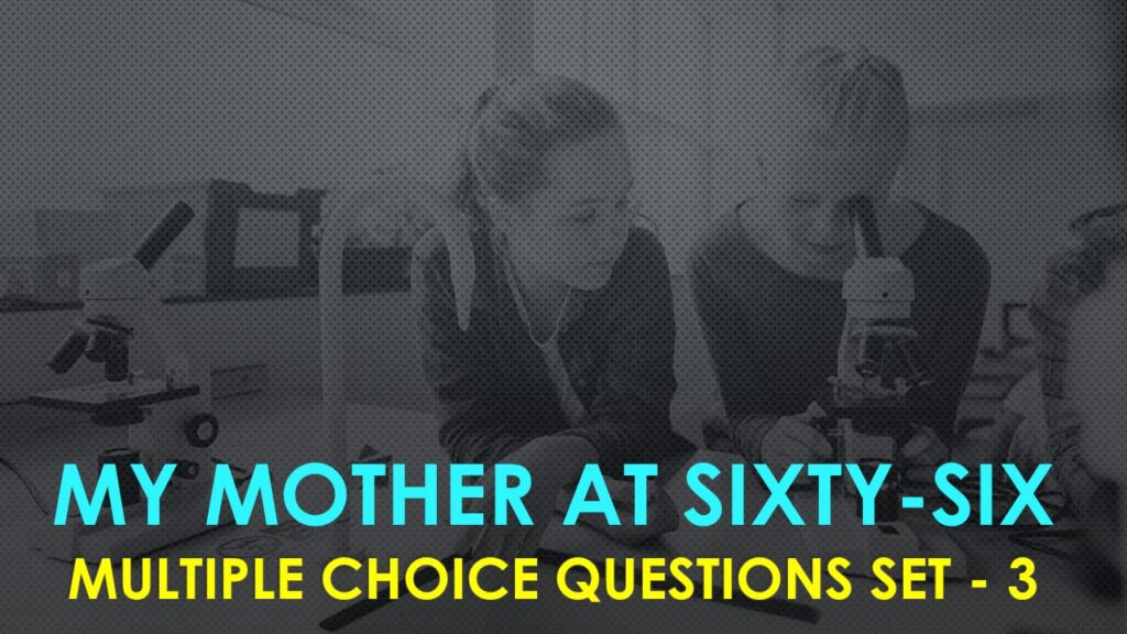 My Mother at Sixty Six-3