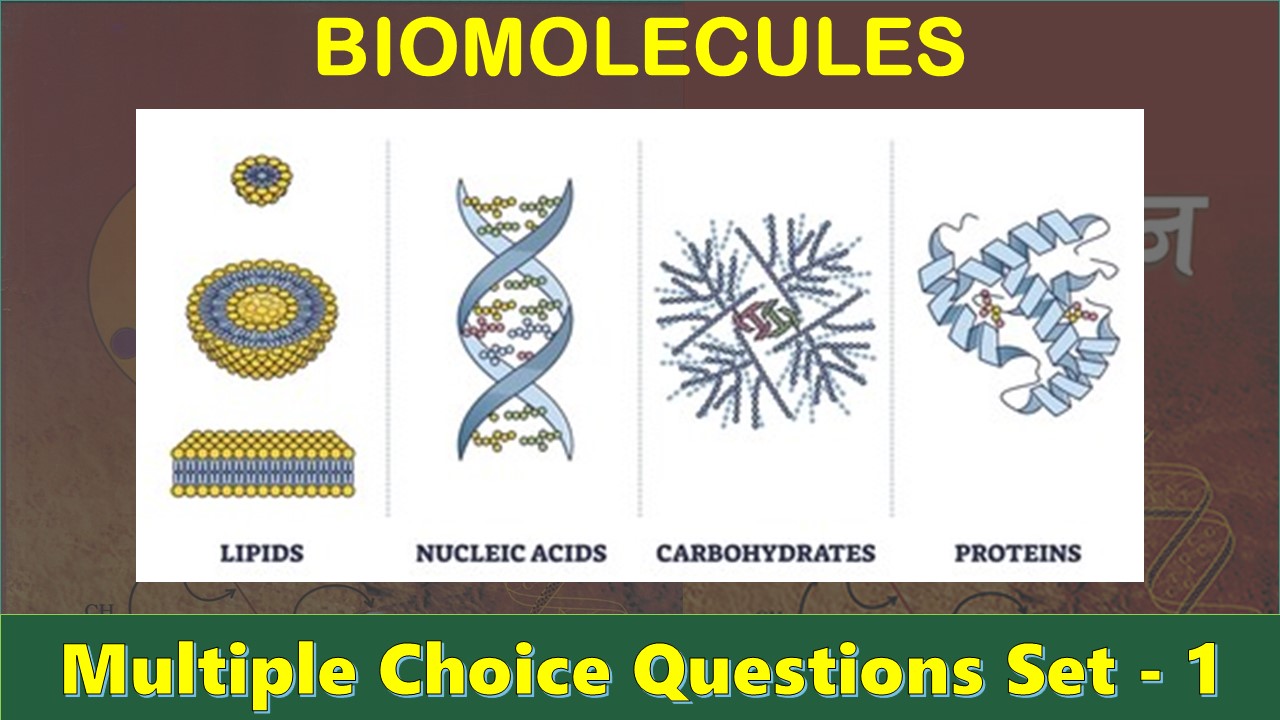 Biomolecules-1