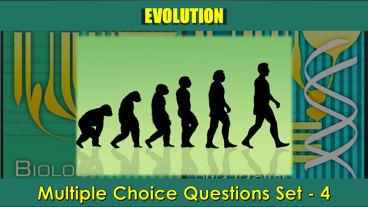 Evolution-4