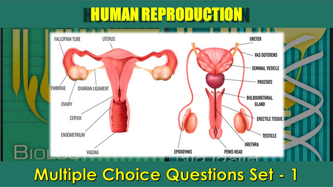 Human Reproduction-1