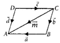 MCQ Questions Class 12 Vector Algebra-34