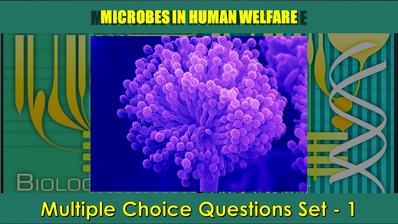 Microbes in Human Welfare-1