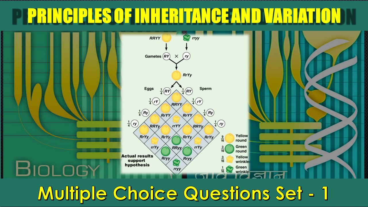 Principles of Inheritance and Variation-1