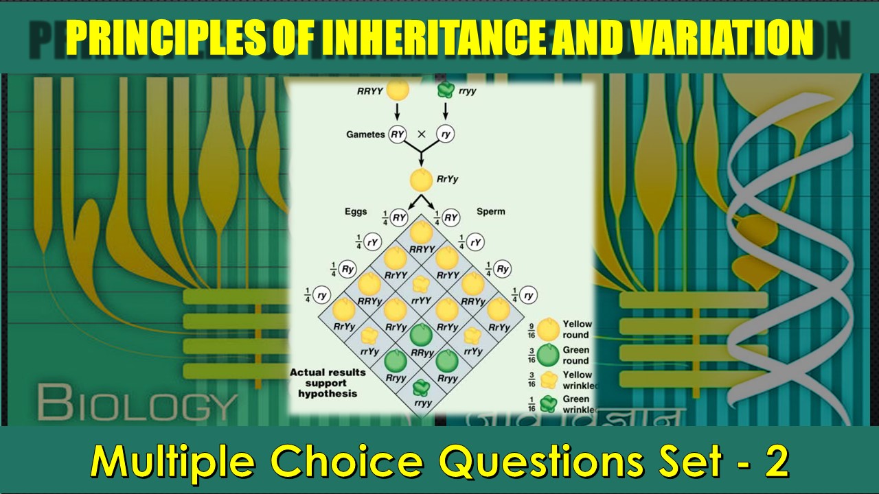 Principles of Inheritance and Variation-2