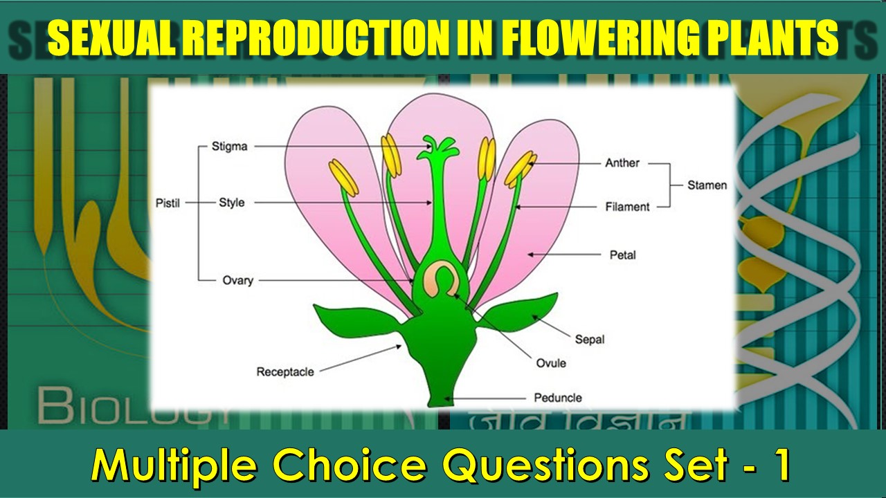 Sexual Reproduction in Flowering Plants-1