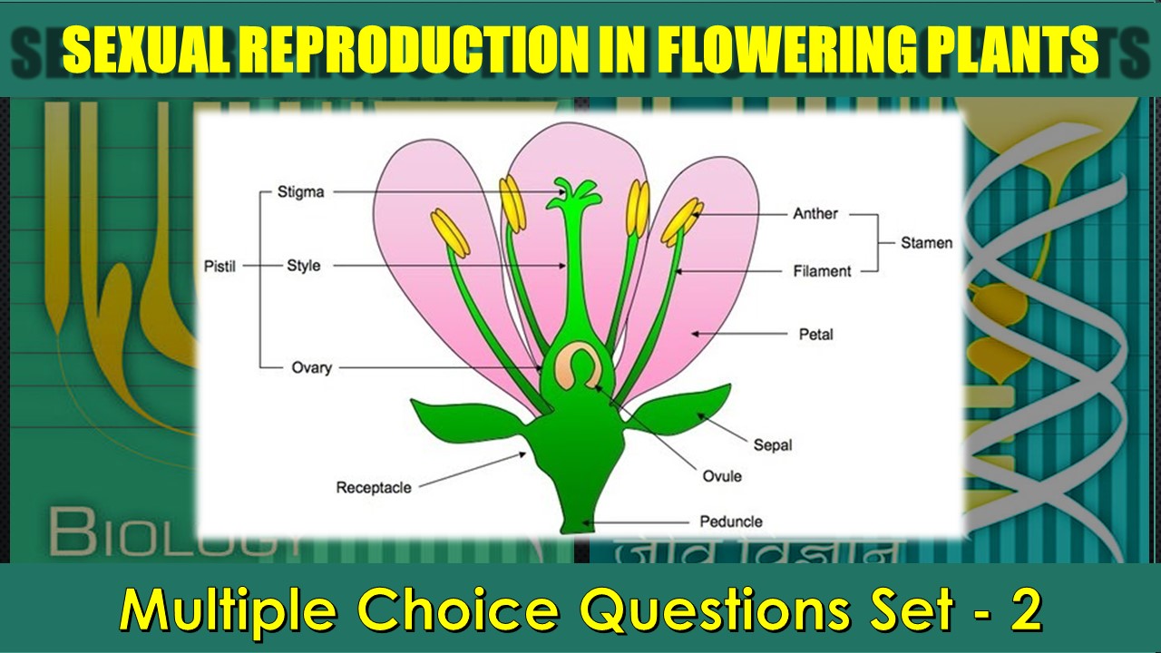 Sexual Reproduction in Flowering Plants-2