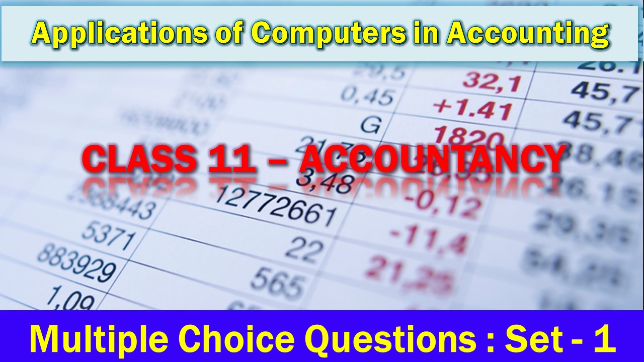 MCQ Questions Class 11 Applications of Computers in Accounting-1