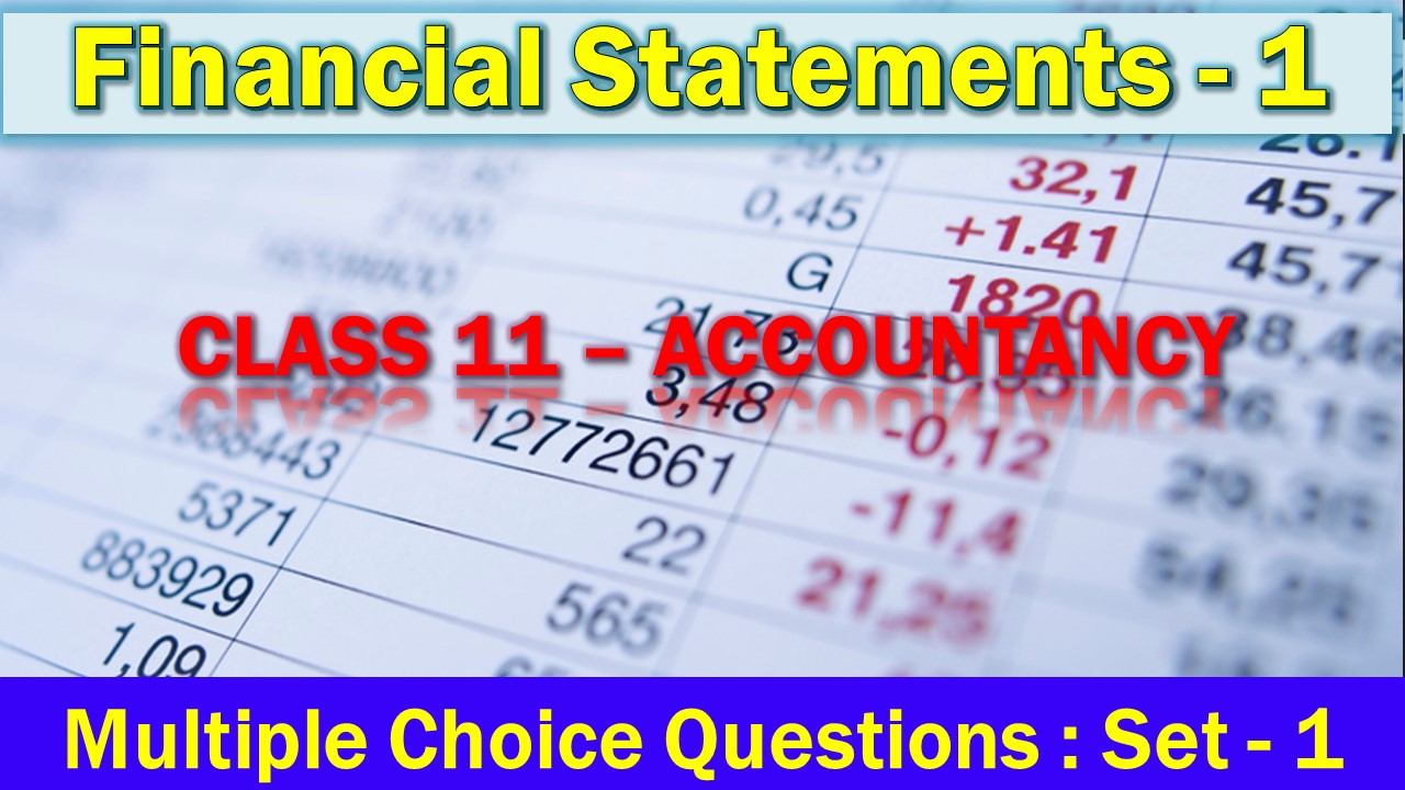 MCQ Questions Class 11 Financial Statements-1-1