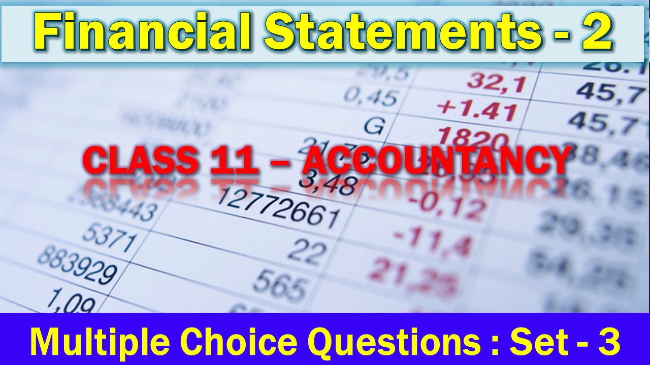 MCQ Questions Class 11 Financial Statements 2-3