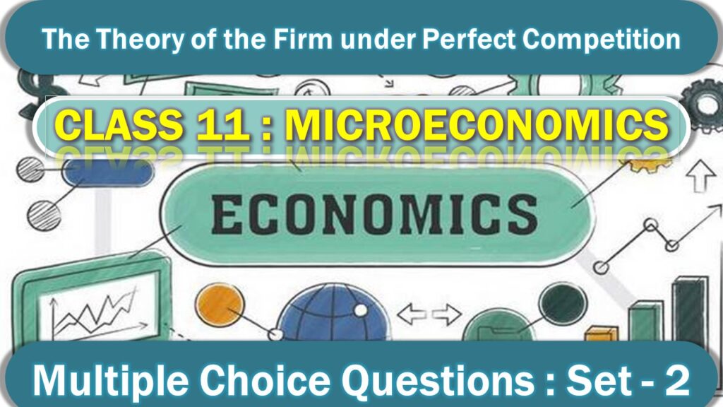 The Theory of the Firm under Perfect Competition (2)