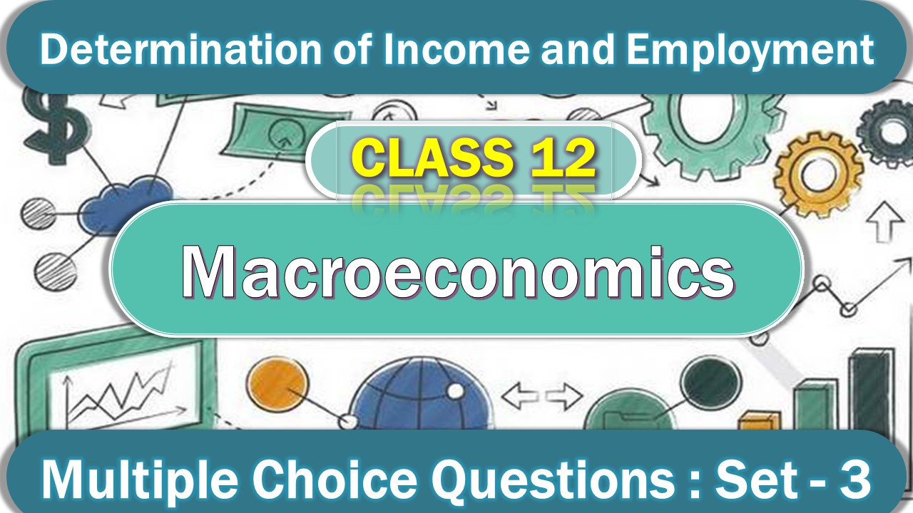 MCQ Questions Class 12 Determination of Income and Employment With Answers (3)