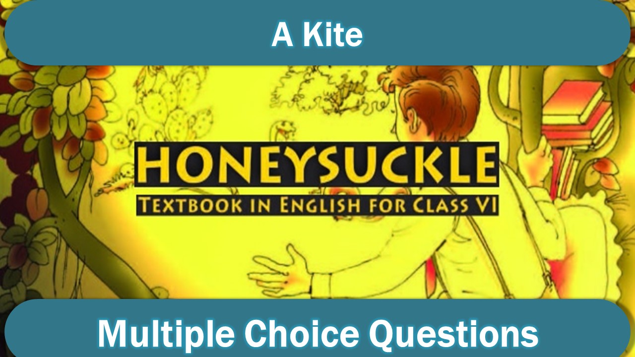 Class 6 English MCQ A Kite