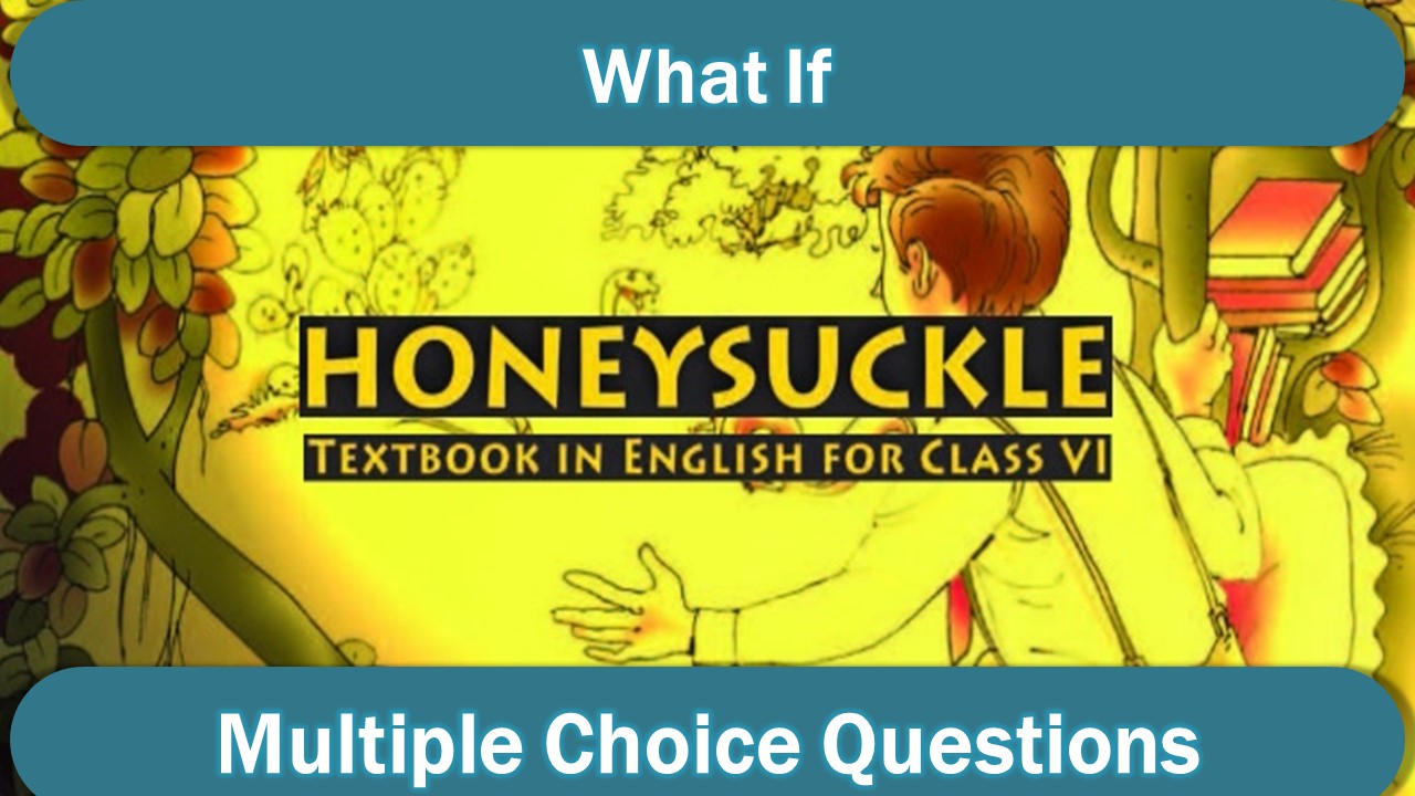 Class 6 English MCQ What If