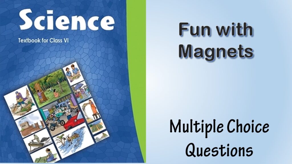 MCQ NCERT Class 6 Chapter 13 Fun with Magnets