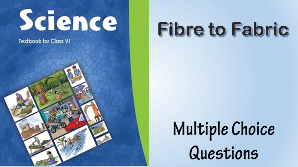 MCQ NCERT Class 6 Chapter 3 Fibre to Fabric
