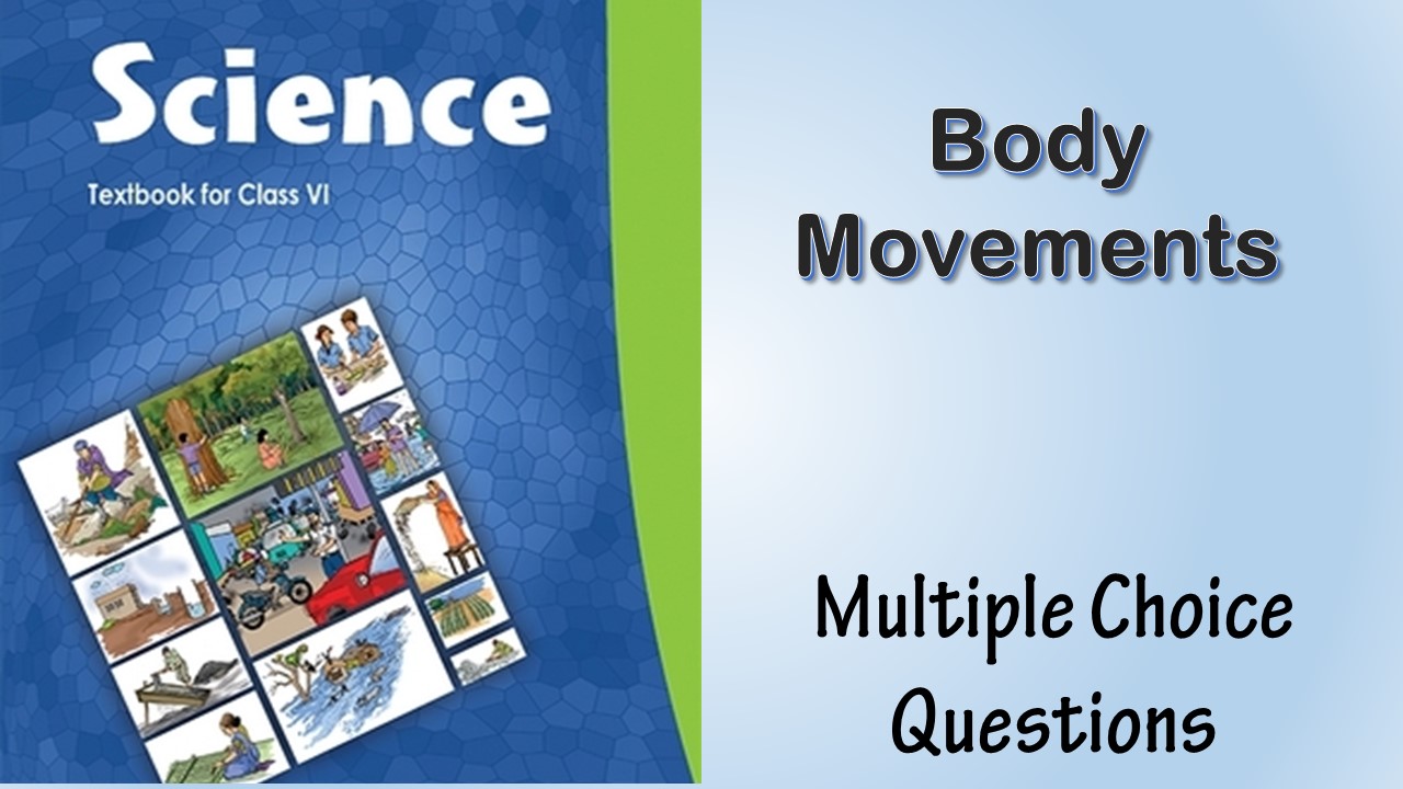 MCQ NCERT Class 6 Chapter 8 Body Movements