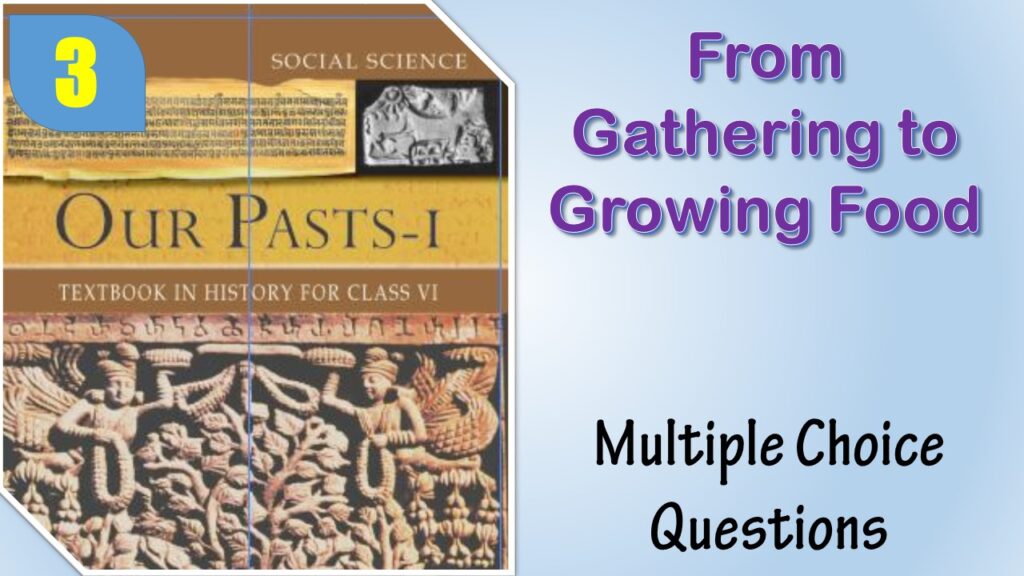 MCQ NCERT Class 6 History Chapter 3 From Gathering to Growing Food
