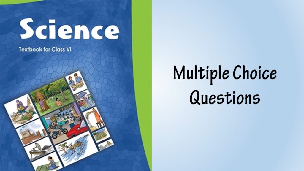 class 6 Science MCQ