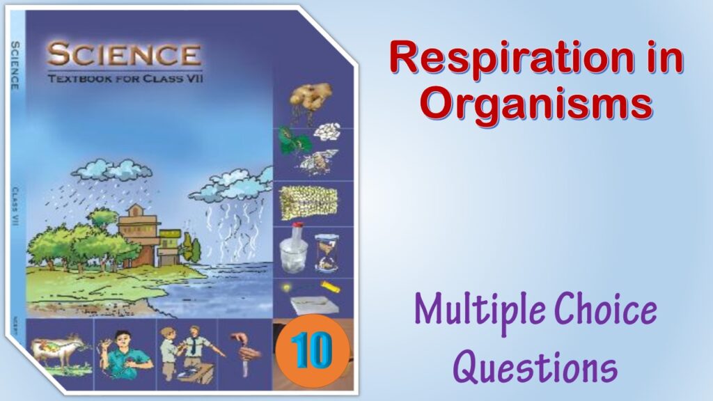 MCQ NCERT Class 7 Science Chapter 10 Respiration in Organisms