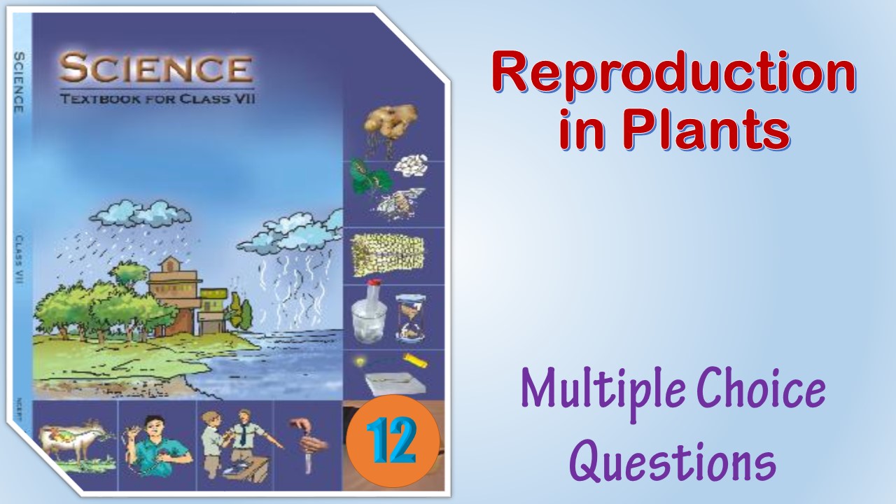 MCQ NCERT Class 7 Science Chapter 12 Reproduction in Plants