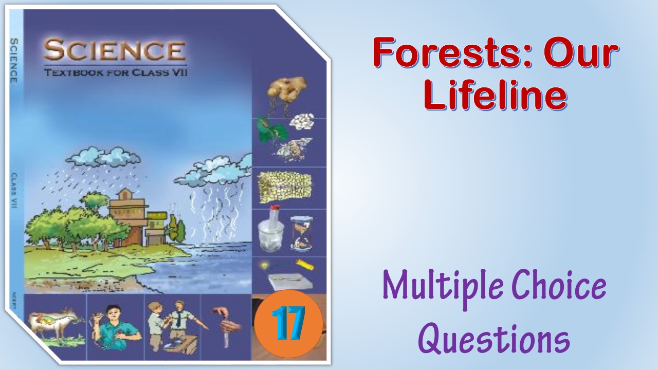 MCQ NCERT Class 7 Science Chapter 17 Forests Our Lifeline