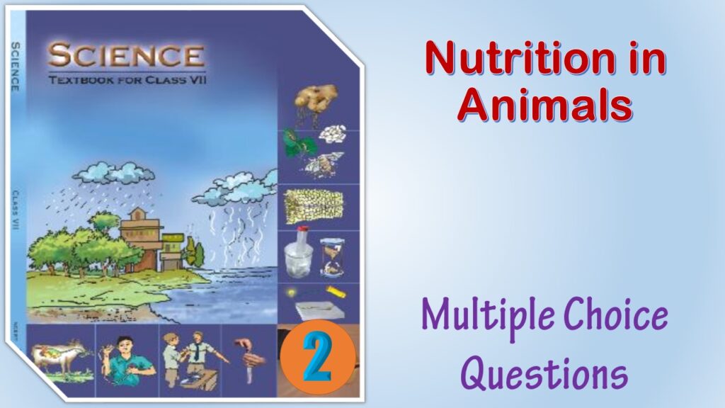 MCQ NCERT Class 7 Science Chapter 2 Nutrition in Animals