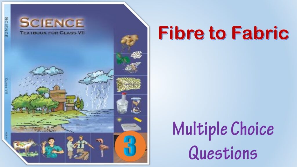 MCQ NCERT Class 7 Science Chapter 3 Fibre to Fabric