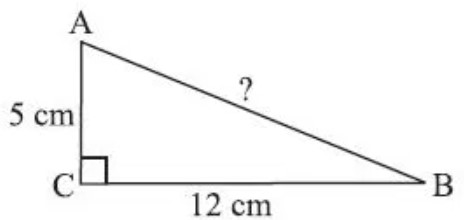 MCQ Questions for Class 7 Maths Chapter 6 The Triangles and its Properties with Answers 1