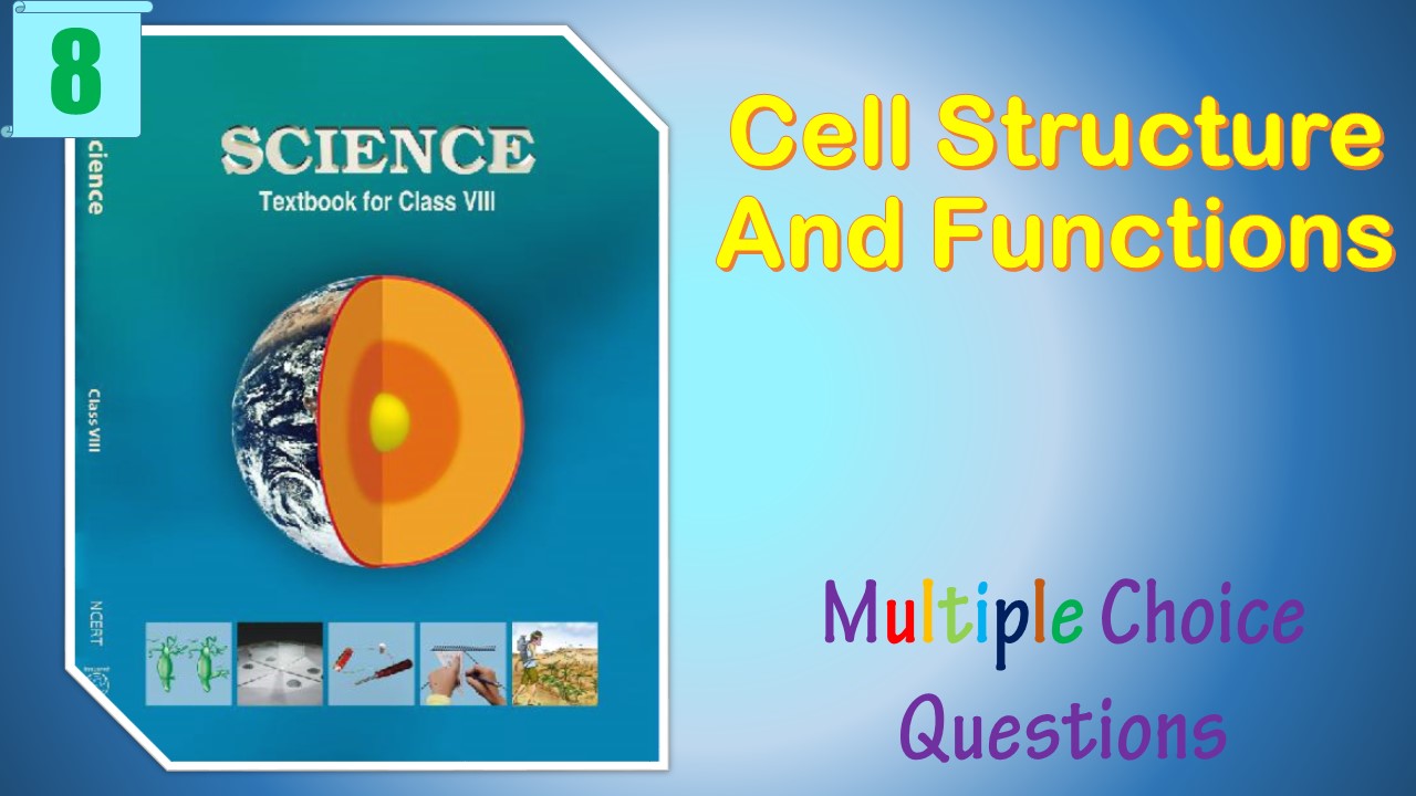 MCQ Questions Class 8 Science Chapter (8)