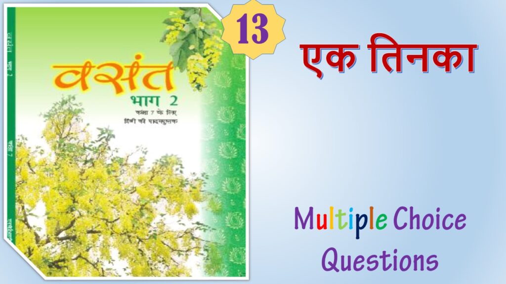 NCERT Class 7 Hindi Vasant (13)